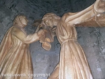 Moscerini nella cripta di santa Lucia