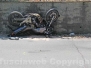 Moto contro auto