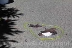 L\'incidente sulla strada Palanzana