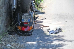 L\'incidente sulla strada Palanzana