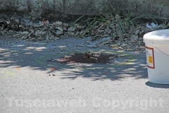 L\'incidente sulla strada Palanzana