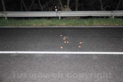 L\'incidente mortale di Montefiascone