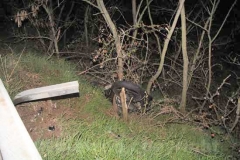 L\'incidente mortale di Montefiascone