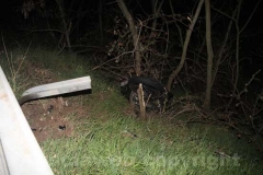 L\'incidente mortale di Montefiascone