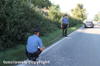 Viterbo - Moto fuori strada sulla Teverina