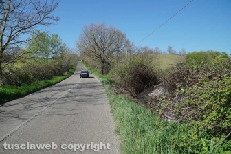 Montefiascone - Muore carbonizzata in auto