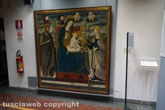 Museo civico