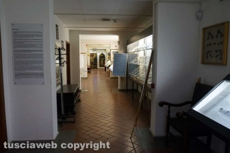 Museo civico