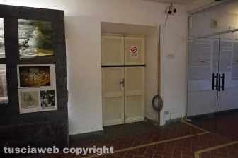 Museo civico