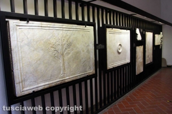 Museo civico