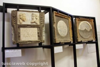 Museo civico