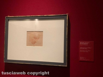 Viterbo - La mostra "Michelngelo e la cappella Sistina. I disegni di casa Buonarroti in dialogo con Sebastiano del Piombo"
