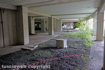 Nei sotterranei del "Colosseo"
