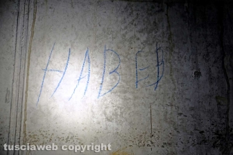 Nei sotterranei del "Colosseo"