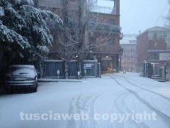 Nella bufera di neve - Viterbo