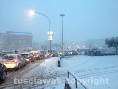 Nella bufera di neve - Viterbo