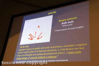 Nelle viscere del butto di Celleno
