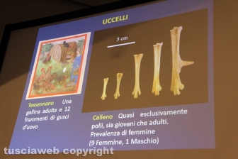 Nelle viscere del butto di Celleno