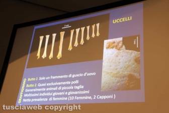 Nelle viscere del butto di Celleno
