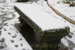 La città innevata di Elisa Cappelli