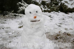 La città innevata di Elisa Cappelli