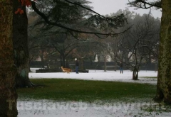La città innevata di Elisa Cappelli