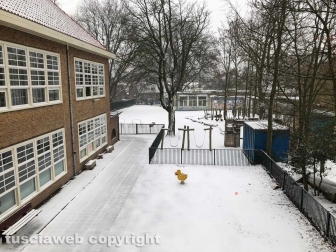 Maltempo - Neve anche ad Amsterdam