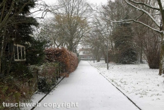 Maltempo - Neve anche ad Amsterdam