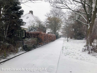 Maltempo - Neve anche ad Amsterdam