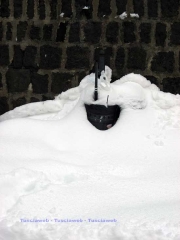 Neve a Viterbo, dettagli - Silvia Tomassini