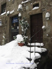 Neve a Viterbo, dettagli - Silvia Tomassini