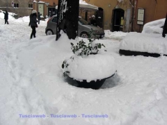 Neve a Viterbo, dettagli - Silvia Tomassini