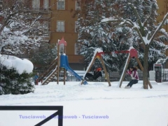 Neve a Viterbo, dettagli - Silvia Tomassini