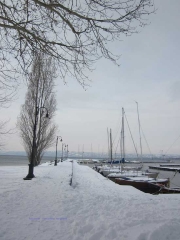 Bolsena-Titta Rossi