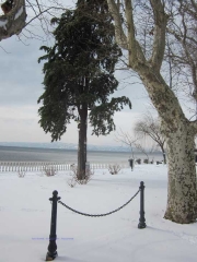 Bolsena-Titta Rossi