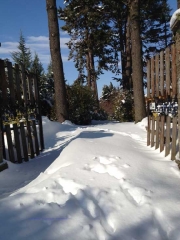Neve a San Martino - Lina delle Monache