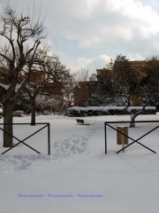 Neve al Carmine - Viterbo - 11 febbraio - Silvia Tomassini