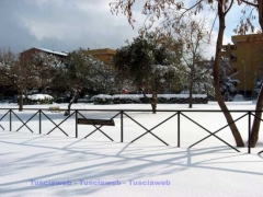Neve al Carmine - Viterbo - 11 febbraio - Silvia Tomassini