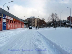 Neve al Carmine - Viterbo - 11 febbraio - Silvia Tomassini
