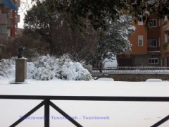 Neve al Carmine - Viterbo - 11 febbraio - Silvia Tomassini