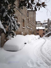 Viterbo - Sandro Cantoni