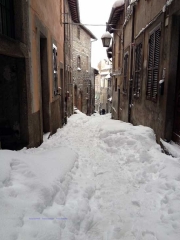 Viterbo - Sandro Cantoni