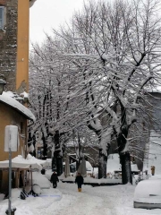 Viterbo - Sandro Cantoni