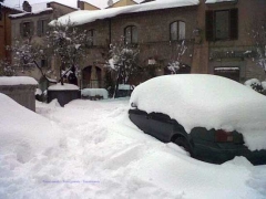 Viterbo - Sandro Cantoni