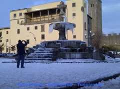 Viterbo - Marco Tortolini
