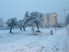 Foto di David Morgantini
