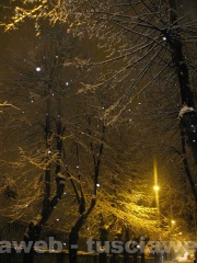 Lucia