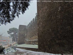 Viterbo - Adriano Lazzarini