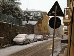 Viterbo - Massimo Pacifici