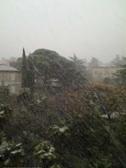 Viterbo - Massimo Pacifici